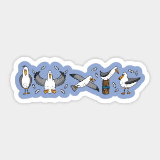 Funny Flock of Seagulls Illustration Sticker